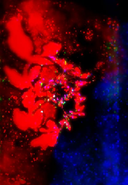 Warp Experiment Project (25)